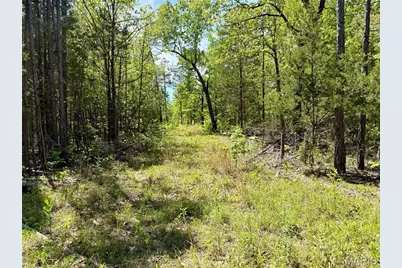 6 Furnace Creek Road, Potosi, MO 63664 - Photo 13