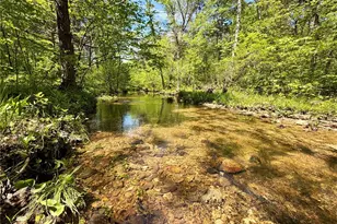 6 Furnace Creek Rd, Potosi, MO 63664 - Photo 1