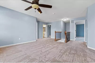 320 Jessie Marie Lane, Saint Peters, MO 63376 - Photo 19