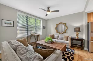 4163 McPherson Ave, Saint Louis, MO 63108 - Photo 5