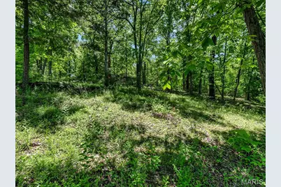 6482 S Lakeshore Drive, Hillsboro, MO 63050 - Photo 55