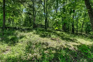 6482 S Lakeshore Dr, Hillsboro, MO 63050 - Photo 55