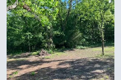 12768 Maness Road, De Soto, MO 63020 - Photo 25