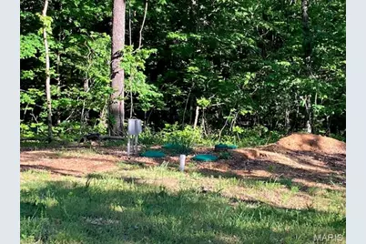 12768 Maness Road, De Soto, MO 63020 - Photo 21