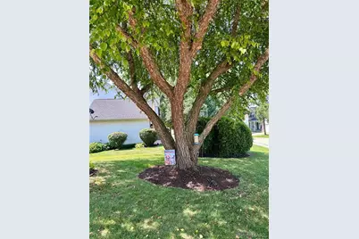 7462 Little Oaks Dr Drive, O'Fallon, MO 63368 - Photo 5