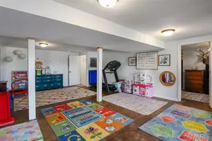 301 Ridgewood Ct, Farmington, MO 63640 - Photo 37