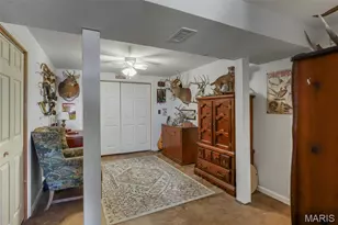 301 Ridgewood Ct, Farmington, MO 63640 - Photo 39