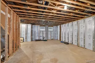 1217 Dolman St, Saint Louis, MO 63104 - Photo 37