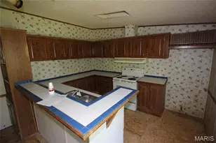 10195 Dellwood Rd, Mineral Point, MO 63660 - Photo 9