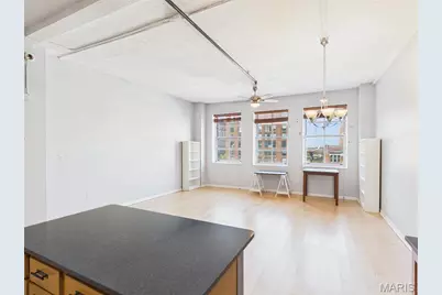 1501 Locust #503, Saint Louis, MO 63103 - Photo 5