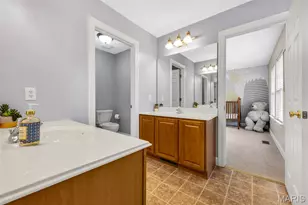 203 Madison Park Dr, Cottleville, MO 63376 - Photo 41