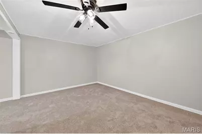 16 Ivy Lane, Festus, MO 63028 - Photo 13