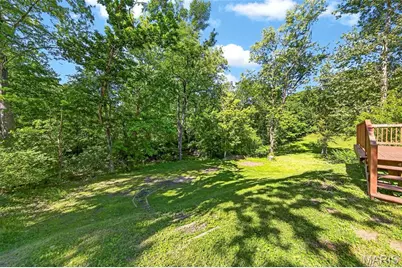 16 Ivy Lane, Festus, MO 63028 - Photo 33