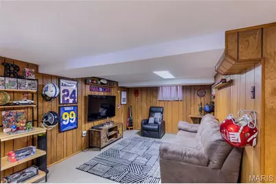 4123 Blow Street, Saint Louis, MO 63116 - Photo 33