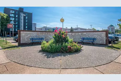 710 Leland Avenue #3S, University City, MO 63130 - Photo 59