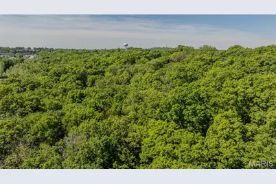 1393 Spring Drive, Herculaneum, MO 63048 - Photo 19