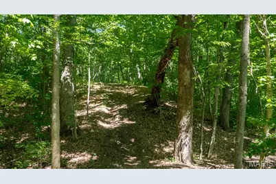 1393 Spring Drive, Herculaneum, MO 63048 - Photo 21