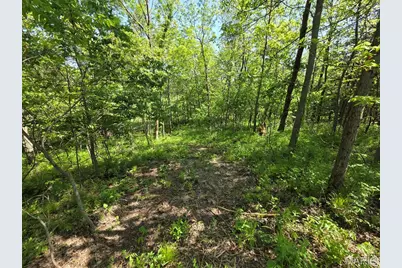 0 Olive Avenue, Maplewood, MO 63454 - Photo 25