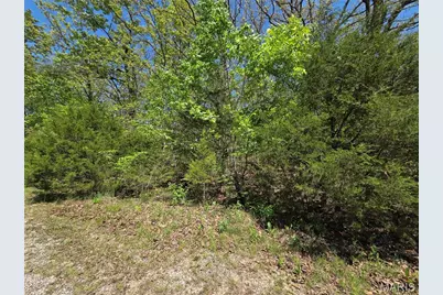 2402 Sanchez Drive, Cuba, MO 65453 - Photo 1