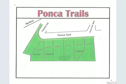 52 Ponca Trail Lot 63, Kirkwood, MO 63122 - Photo 1
