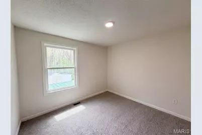 14326 Spring Drive, De Soto, MO 63020 - Photo 11