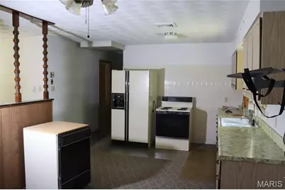 4219 Old State Road, De Soto, MO 63020 - Photo 5