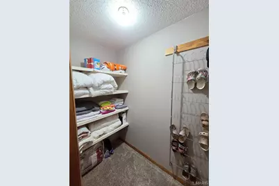 403 Constantz Drive, Stanton, MO 63435 - Photo 33