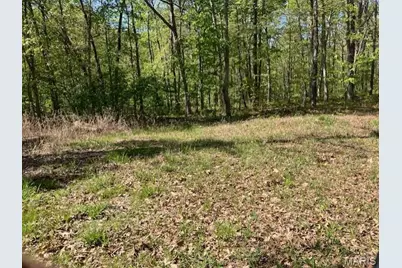 220 Madison Cr 410, Fredericktown, MO 63645 - Photo 1