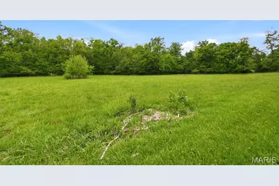 12489 John Smith Road, Potosi, MO 63664 - Photo 5