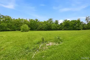 12489 John Smith Rd, Potosi, MO 63664 - Photo 5