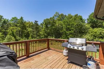 10347 Buck Run Drive, Cadet, MO 63630 - Photo 47