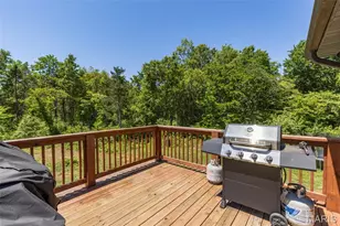 10347 Buck Run Dr, Cadet, MO 63630 - Photo 47