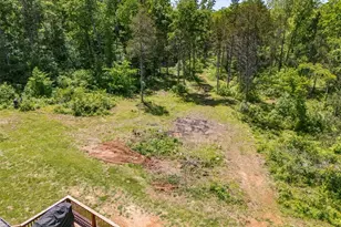 10347 Buck Run Dr, Cadet, MO 63630 - Photo 53