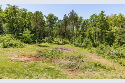 10347 Buck Run Drive, Cadet, MO 63630 - Photo 49