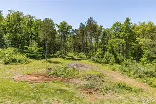 10347 Buck Run Dr, Cadet, MO 63630 - Photo 49