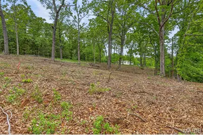 000 Andre Courts, Bonne Terre, MO 63628 - Photo 5