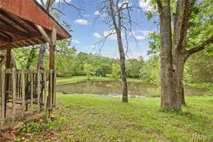 5436 Grosswiler Ln, Hillsboro, MO 63050 - Photo 41