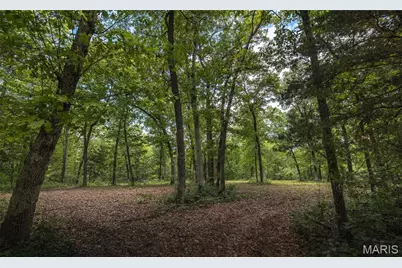 8923 Dragonfly Ranch, Robertsville, MO 65066 - Photo 43