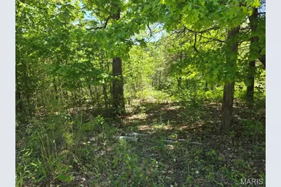 10452 Lake Crest Drive, Hillsboro, MO 63050 - Photo 3