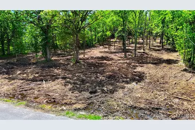 001 Hencher Road, De Soto, MO 63020 - Photo 3