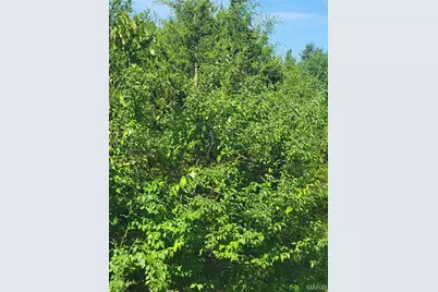 5060 Fox Creek Road, Pacific, MO 63069 - Photo 1