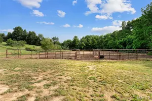 175 Cedar Creek Ln, Jackson, MO 63755 - Photo 51