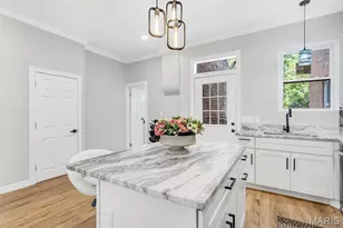 3006 Virginia Ave, Saint Louis, MO 63118 - Photo 15
