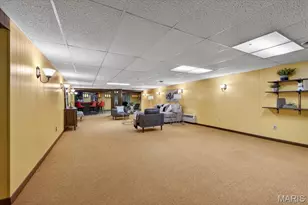 5 Blossomwood Ct, Florissant, MO 63033 - Photo 45