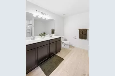 413 Fox Sedge Court, O'Fallon, MO 63366 - Photo 43