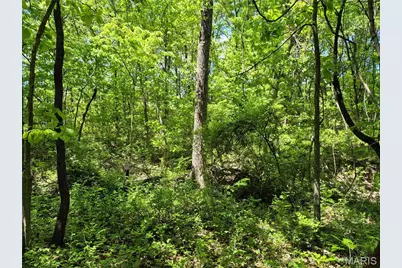 0 Highway Nn (Tract 1 - 8.44+/- Acres), Bowling Green, MO 63334 - Photo 15