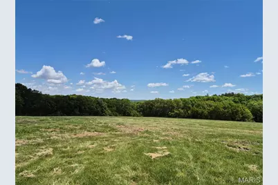 0 Highway Nn (Tract 1 - 8.44+/- Acres), Bowling Green, MO 63334 - Photo 11