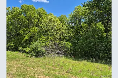 0 Highway Nn (Tract 1 - 8.44+/- Acres), Bowling Green, MO 63334 - Photo 31