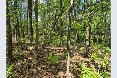 0 Highway Nn (Tract 2 - 9.08+/- Acres), Bowling Green, MO 63334 - Photo 25