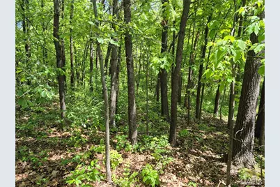 0 Highway Nn (Tract 2 - 9.08+/- Acres), Bowling Green, MO 63334 - Photo 23